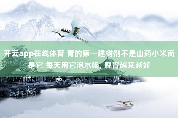 开云app在线体育 胃的第一建树剂不是山药小米而是它 每天用它泡水喝， 脾胃越来越好