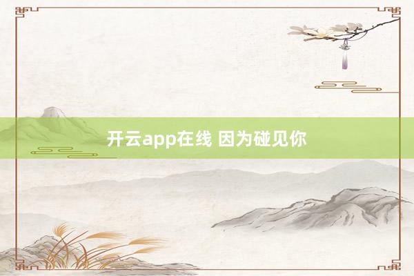 开云app在线 因为碰见你