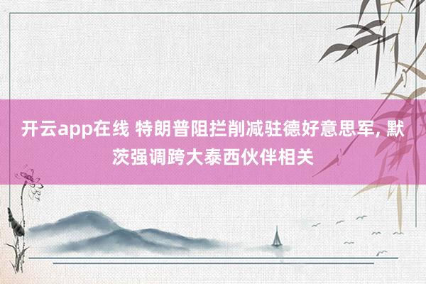 开云app在线 特朗普阻拦削减驻德好意思军， 默茨强调跨大泰西伙伴相关