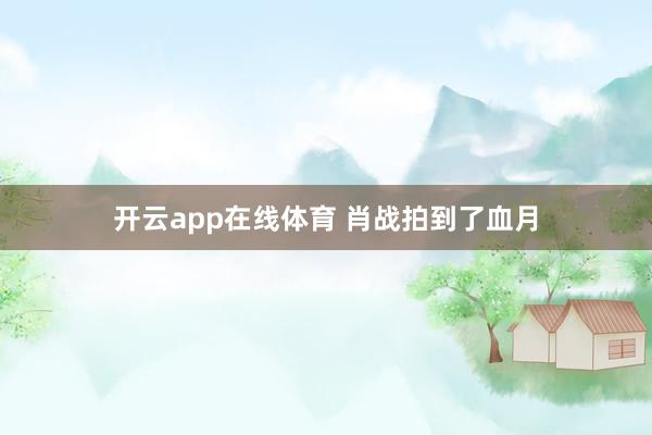开云app在线体育 肖战拍到了血月