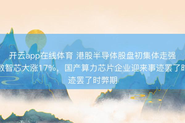 开云app在线体育 港股半导体股盘初集体走强，天数智芯大涨17%，国产算力芯片企业迎来事迹罢了时弊期