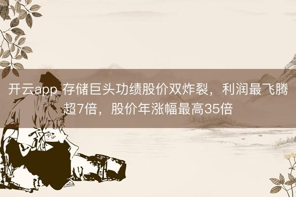 开云app 存储巨头功绩股价双炸裂，利润最飞腾超7倍，股价年涨幅最高35倍